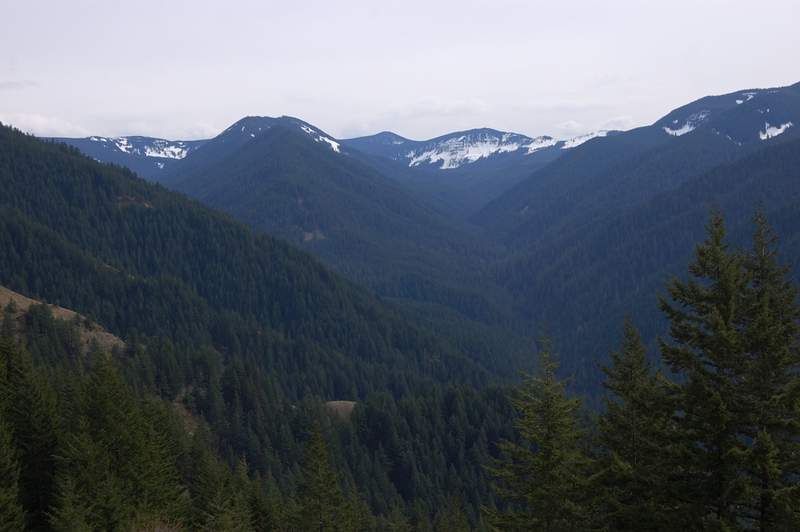 Looking up Herman Creek valley