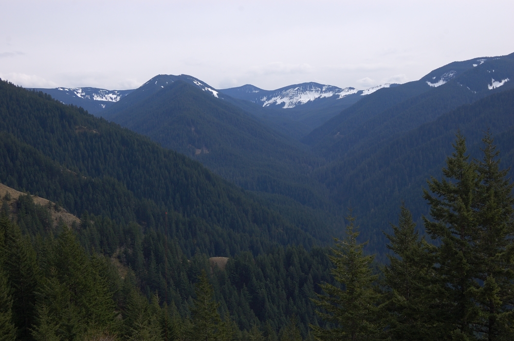 Looking up Herman Creek valley