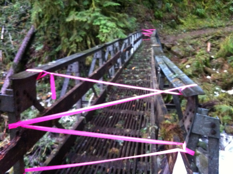 Larch Mt. footbridge