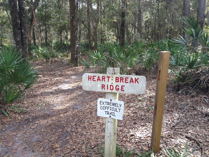 A very different Heartbreak Ridge Trail!