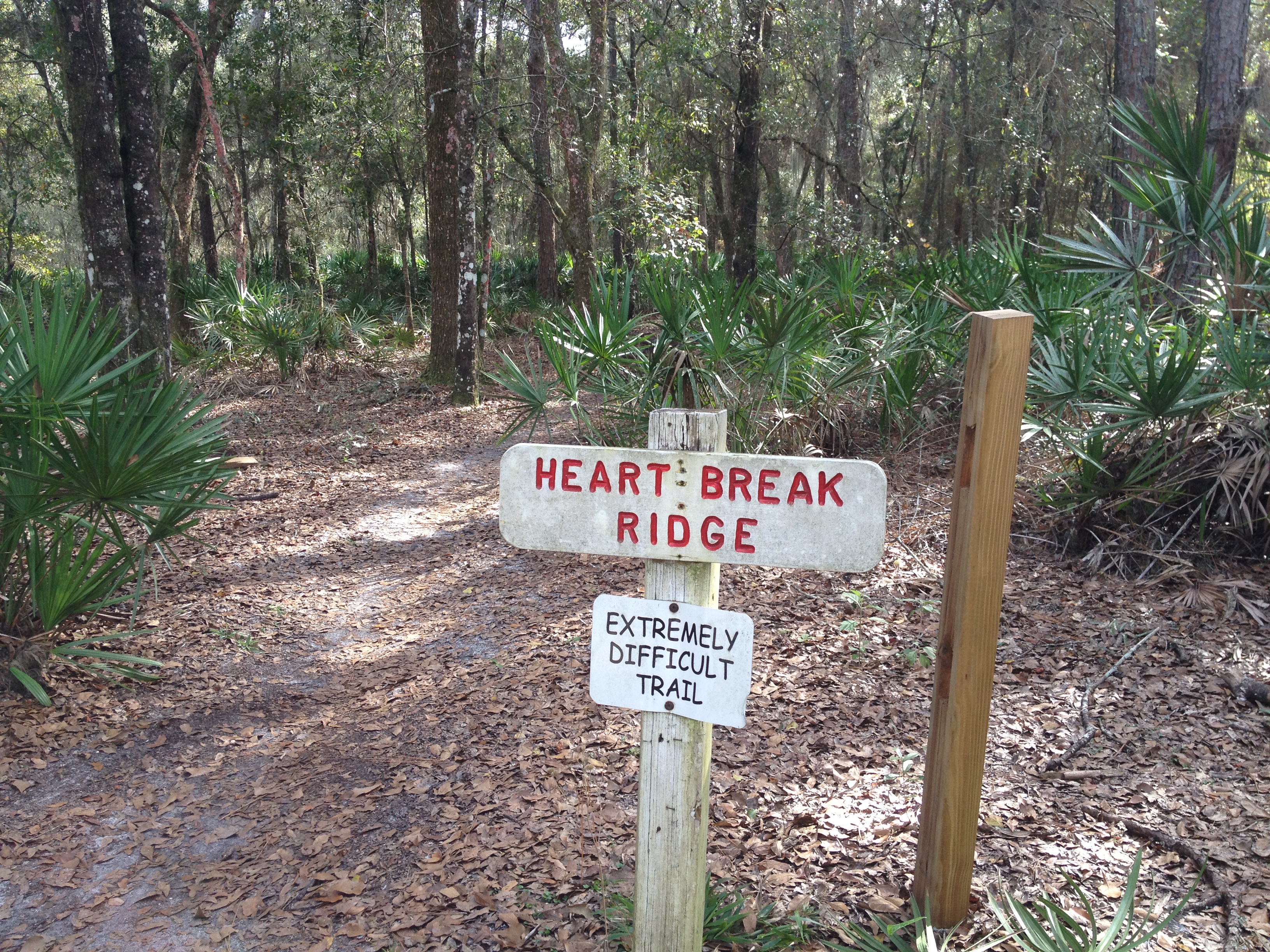 A very different Heartbreak Ridge Trail!