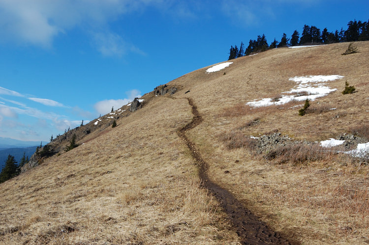 There was some snow just below the meadows (1/3 mile at most), but at the meadows the trail was clear.