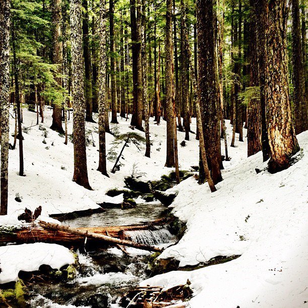 Ruckel Creek