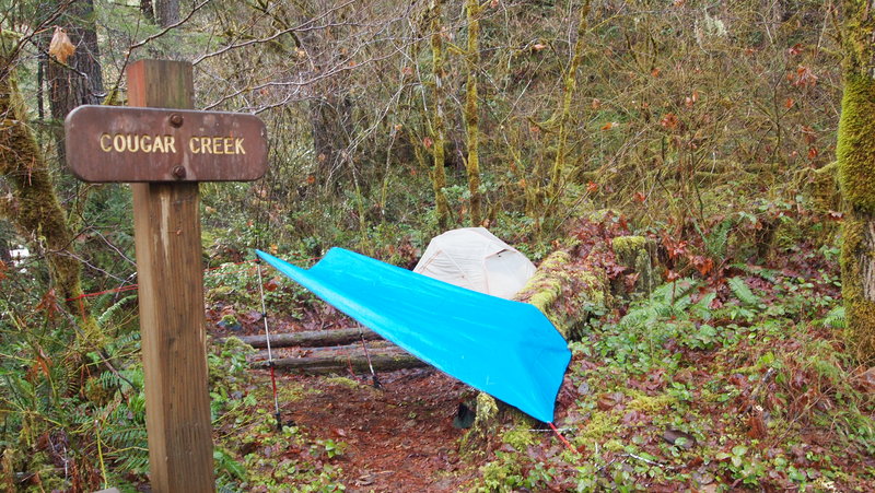 Campsite