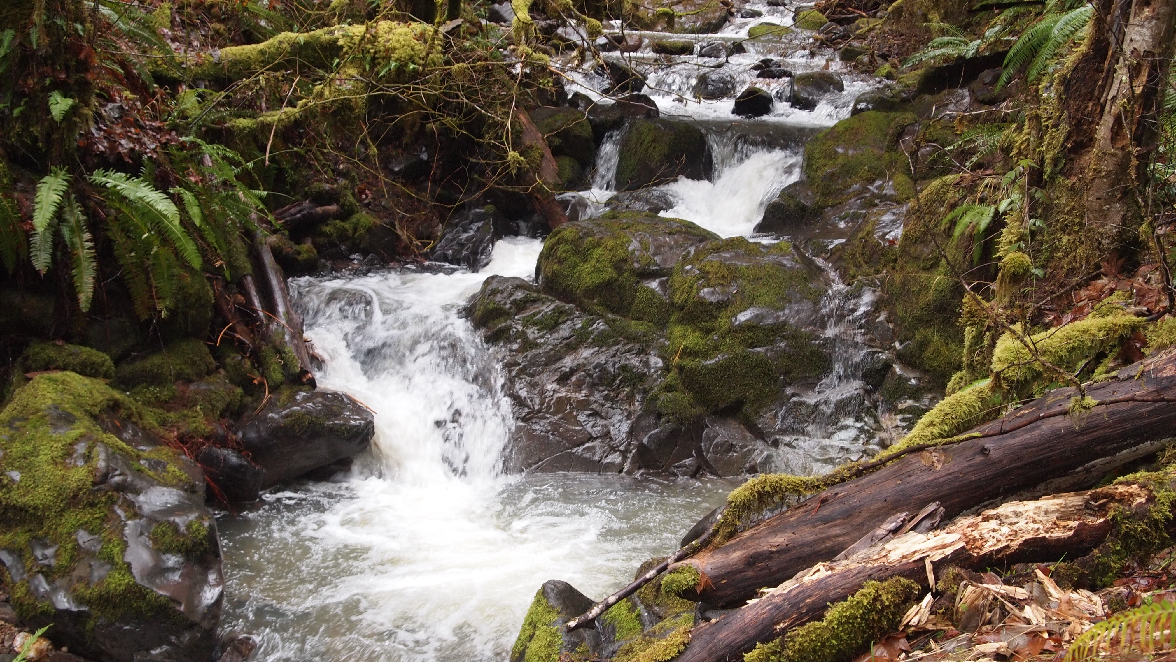 Creek