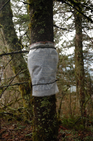 The poem dedicated to this mountain was tied to a tree at the top.