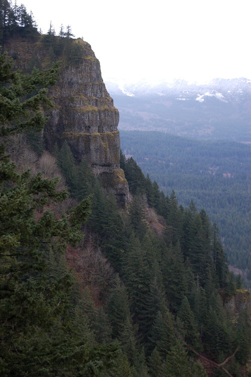 East viewpoint from west viewpoint