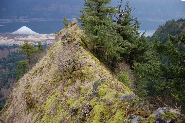 Narrow ridge to East Viewpoint
