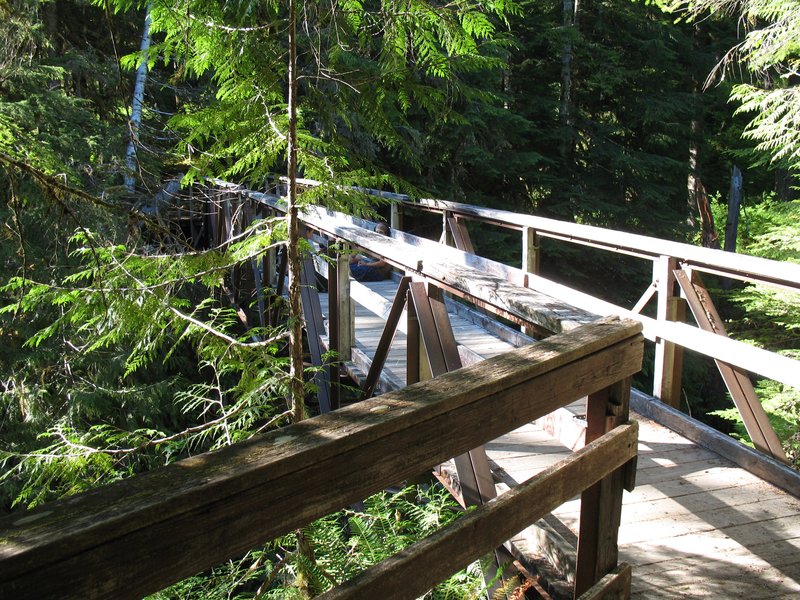 Bridge Over Hoh River