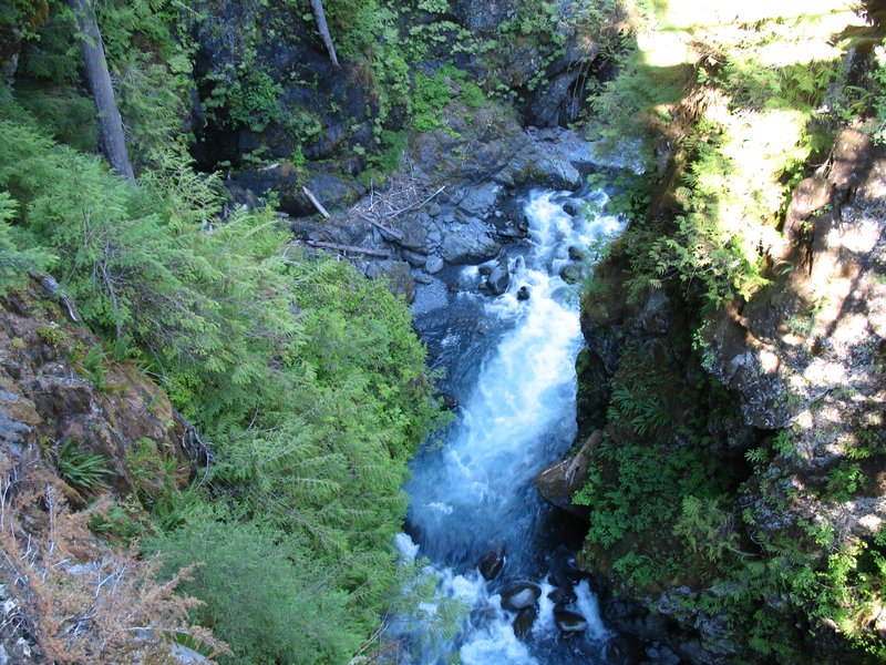 View From Hoh River Bridge
