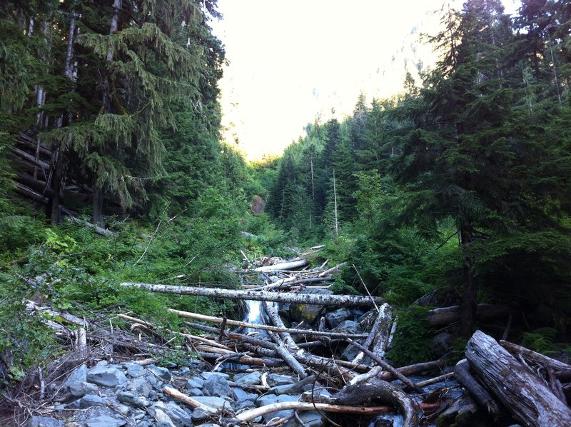 Martin Creek