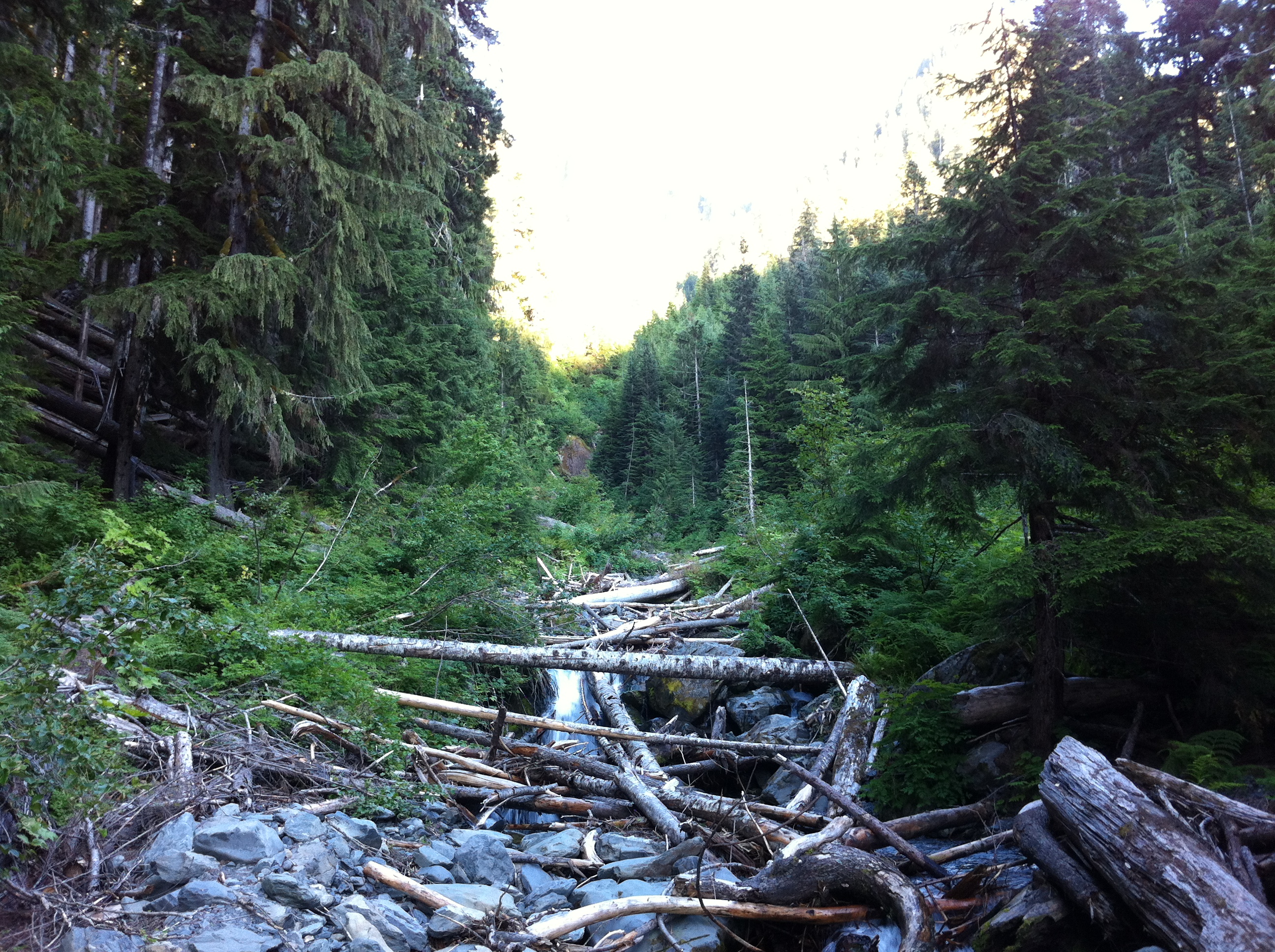 Martin Creek