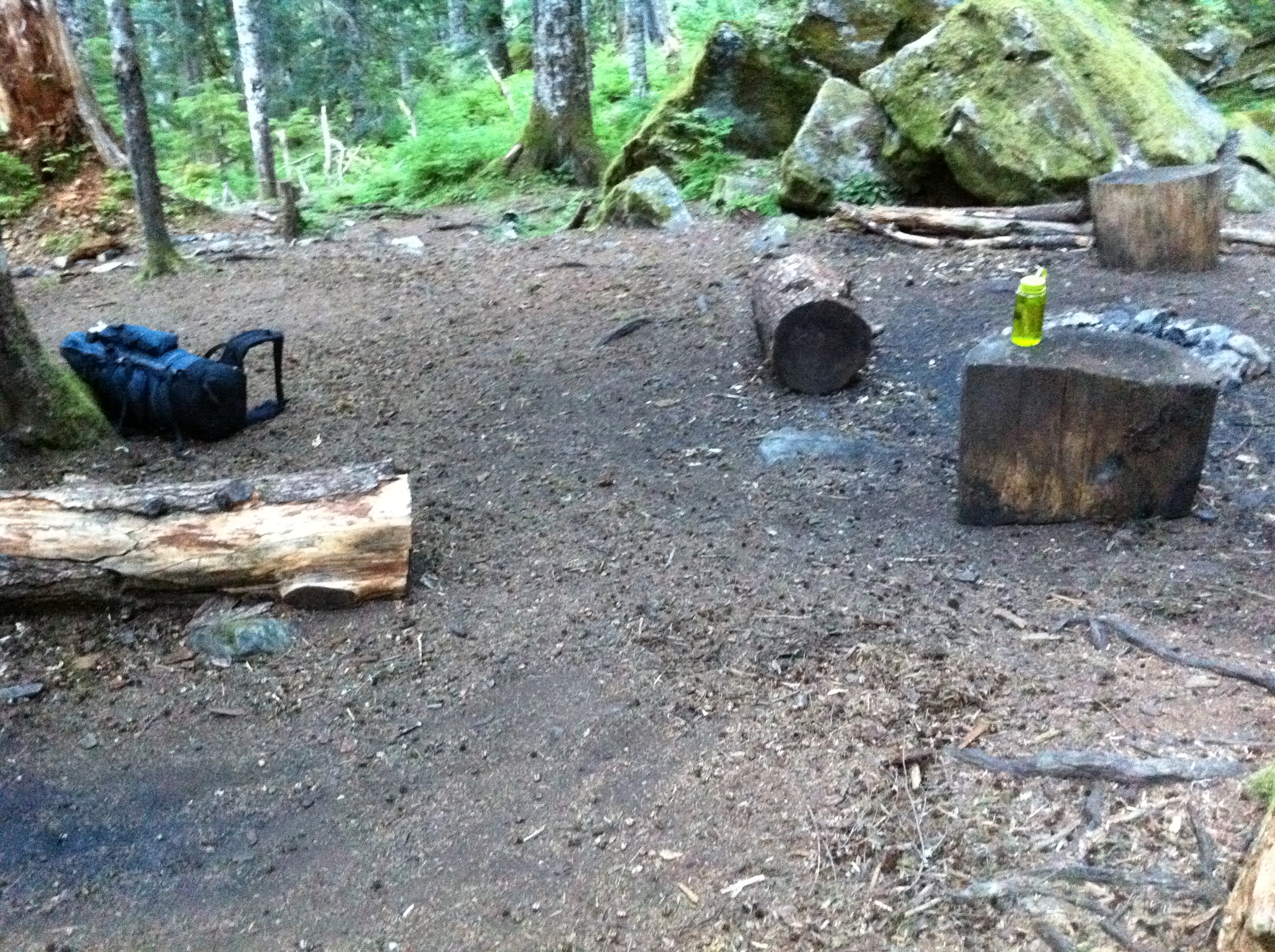 Martin Creek Campsite