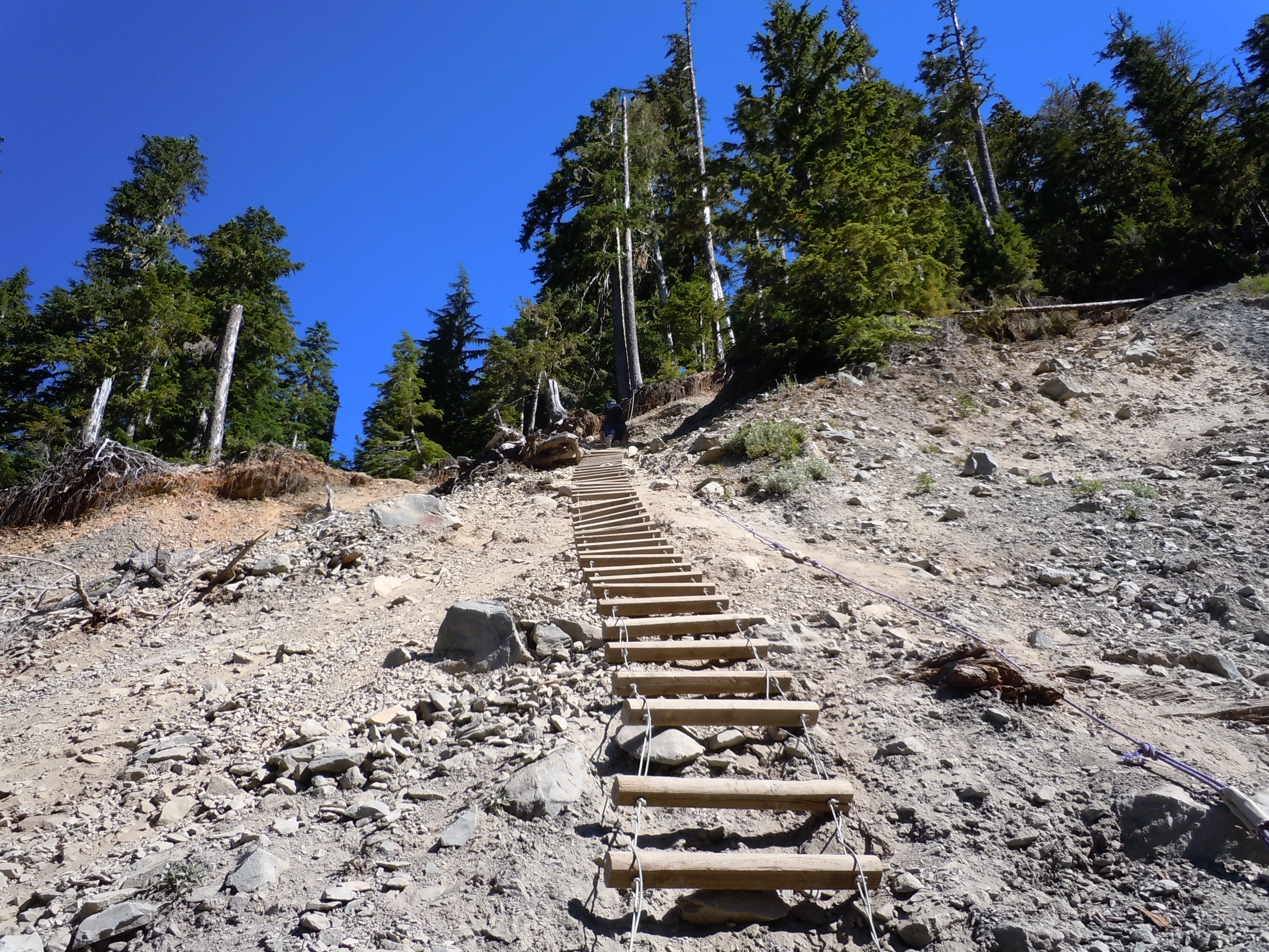 Landslide Rope and Ladder