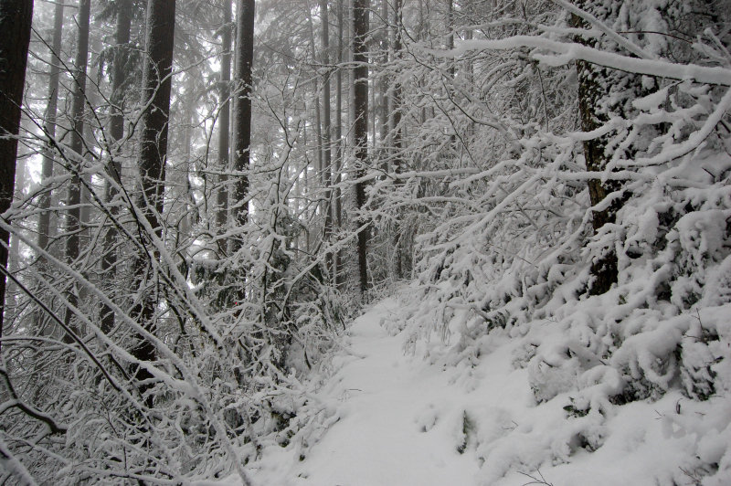 Other that that, the trail is in good condition.