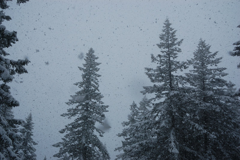 At some moment it started snowing like crazy