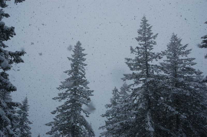 At some moment it started snowing like crazy