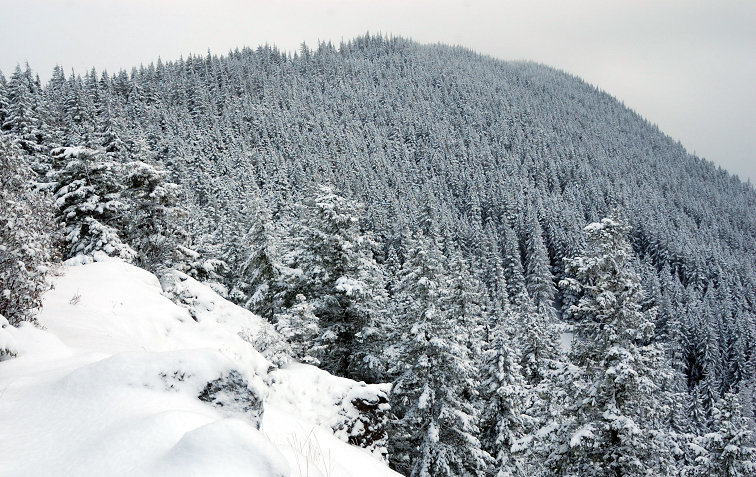 Looking to Hunchback summit