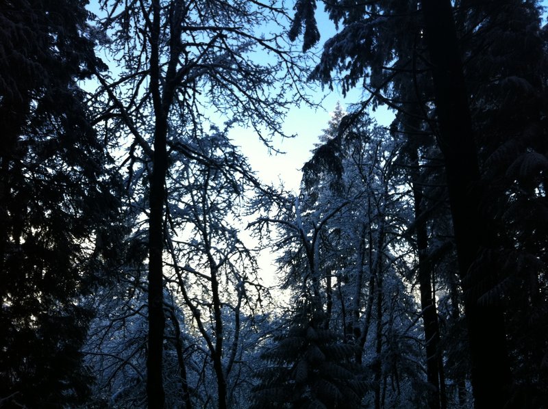 nice clear skies