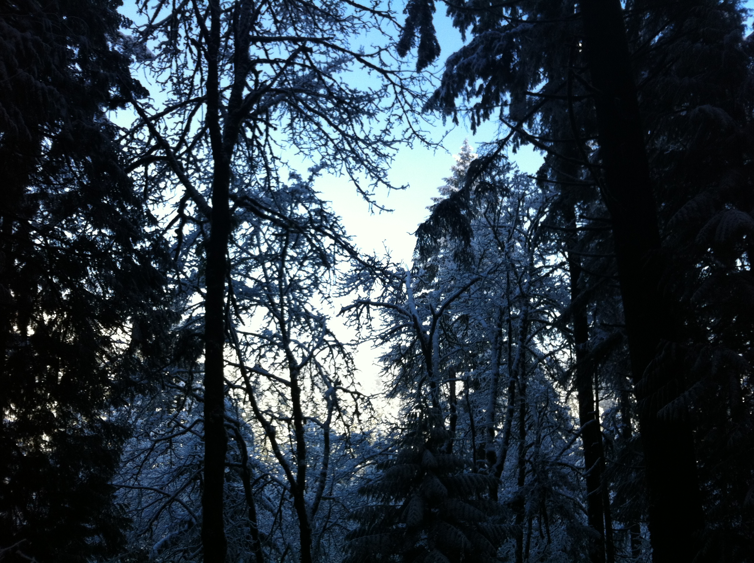 nice clear skies