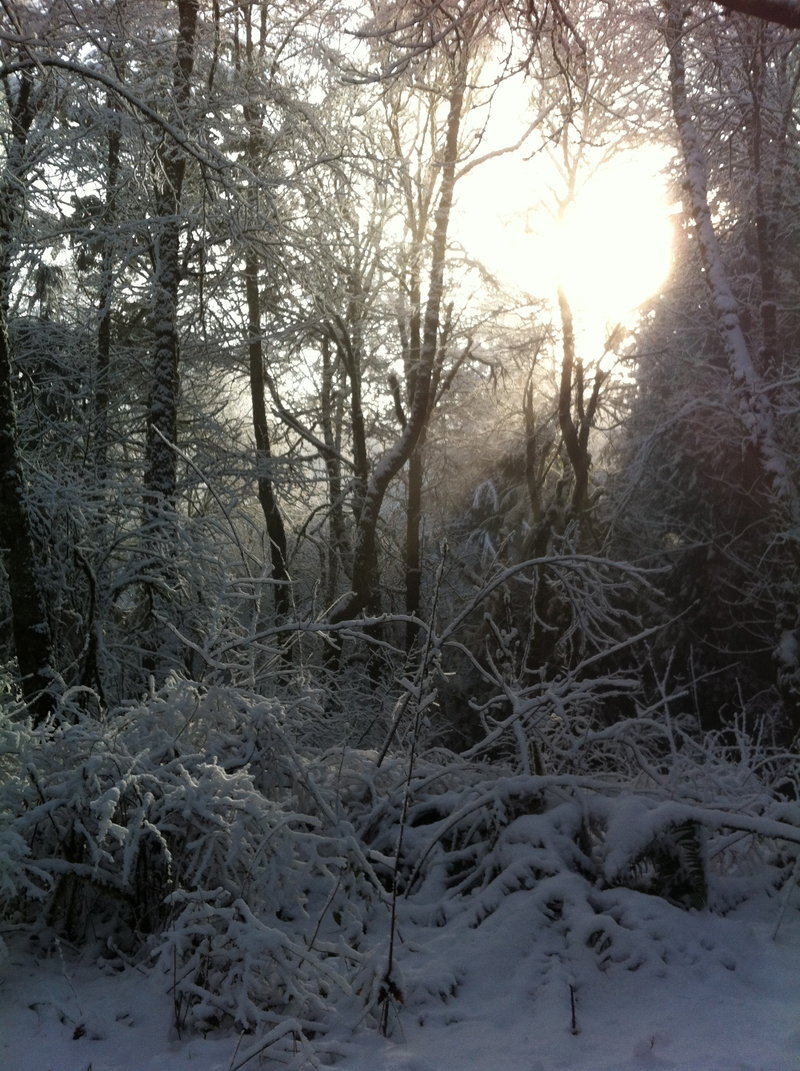 early morning snow
