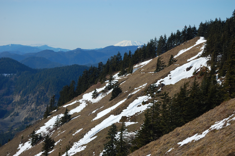 View to St Helens