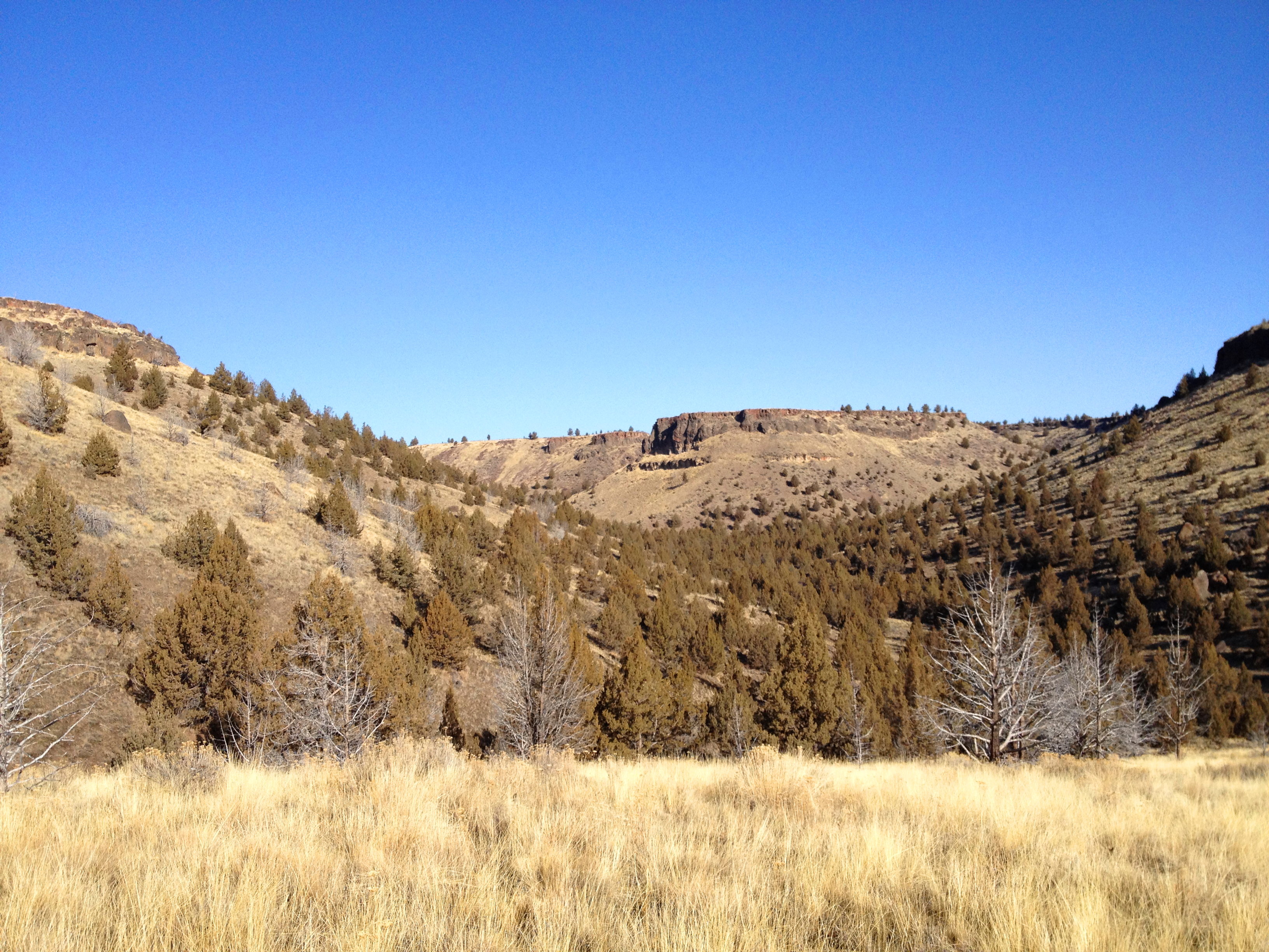 I love ramblin in the desert!