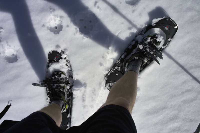 Nothing like shorts-snowshoeing weather.