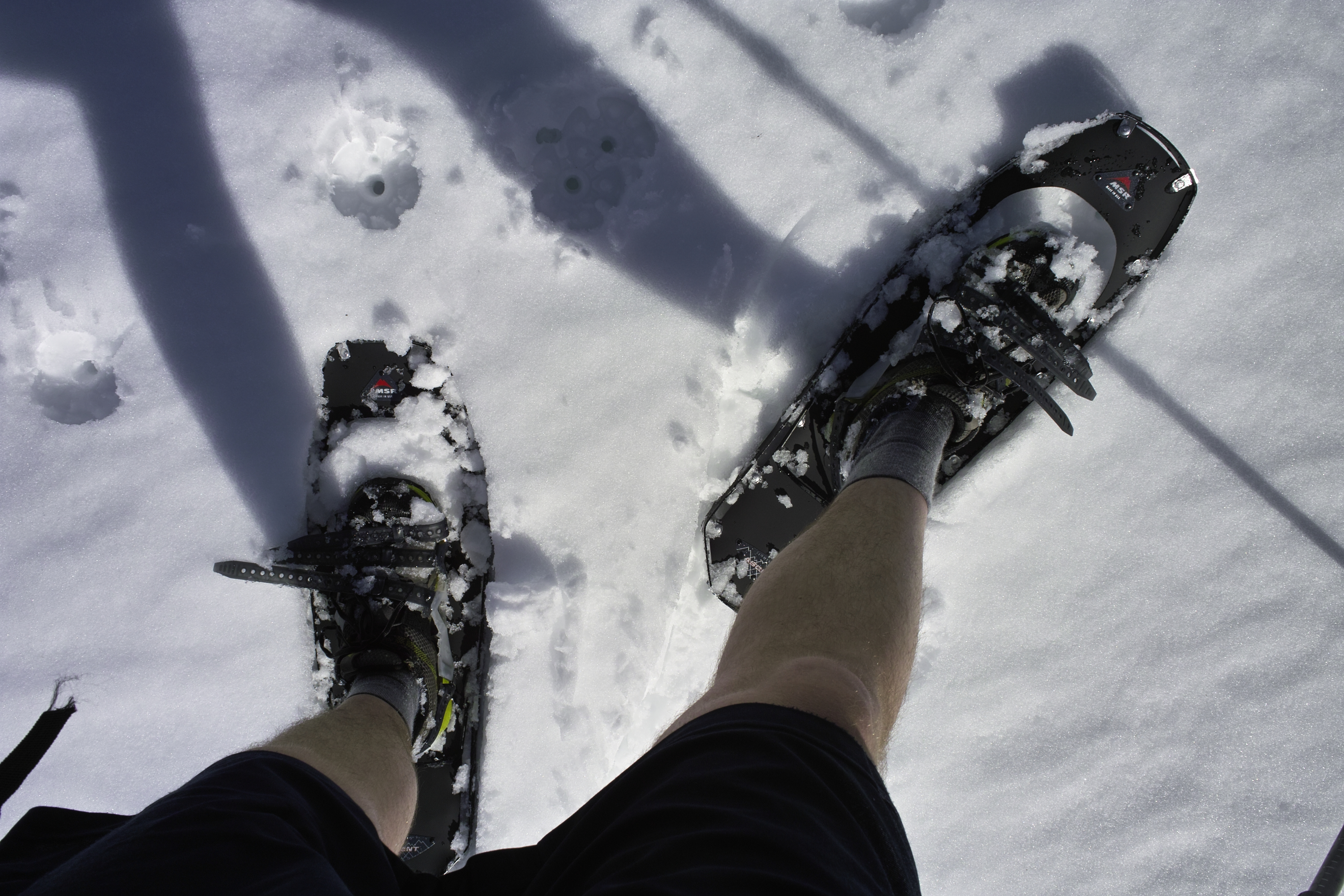 Nothing like shorts-snowshoeing weather.
