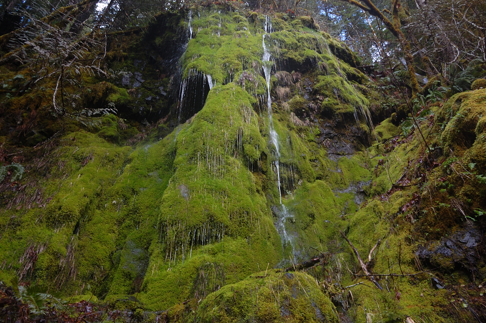 Weeping wall