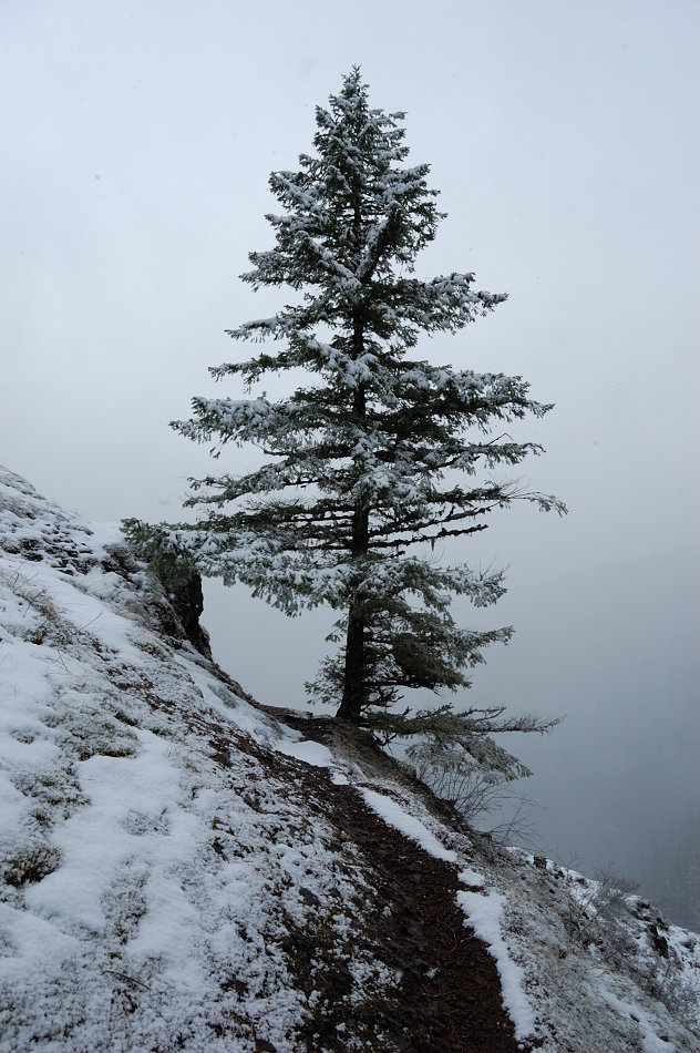The trail was clear even at canyon overlook - where I expected the most snow