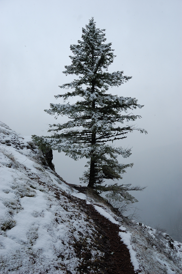 The trail was clear even at canyon overlook - where I expected the most snow