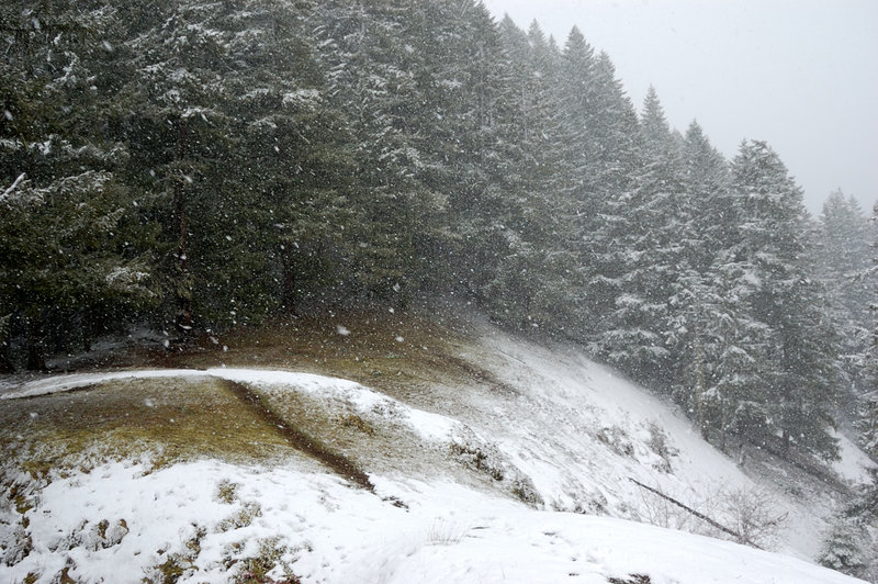 It is the second viewpoint, about a mile up trail from canyon overlook. It was snowing hard, but still almost no snow under the trees