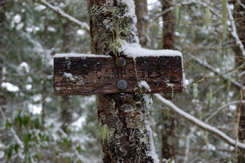 Goat Creek camp (I found only one camp spot since I never been there in summer and everything was covered with 5-8 inches of fresh powder)