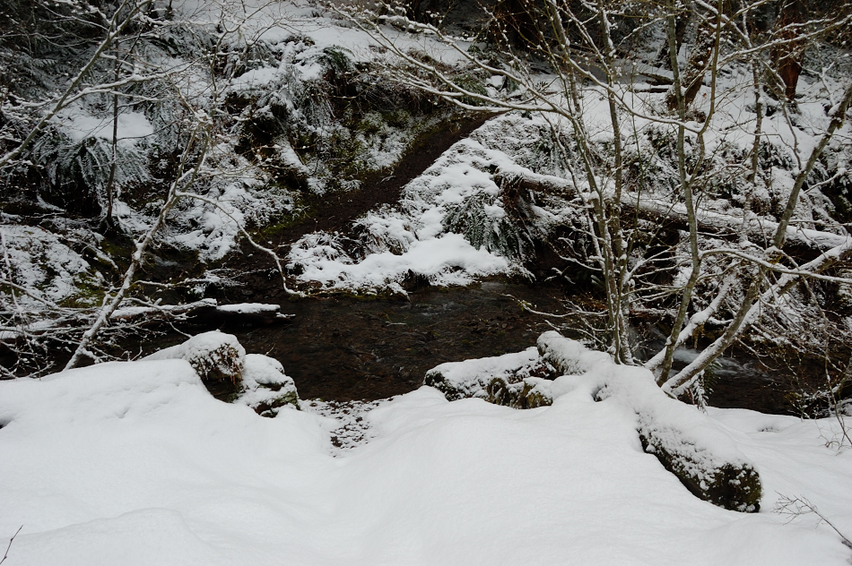 Goat Creek crossing (note the snow-free trail on the other side)