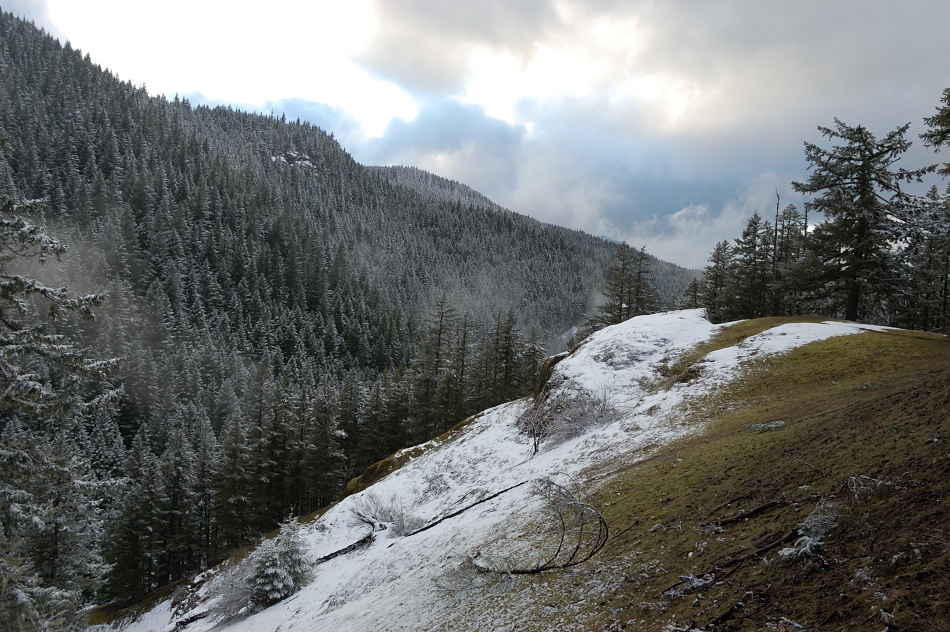 "Second" viewpoint on the way back - the snow has stopped