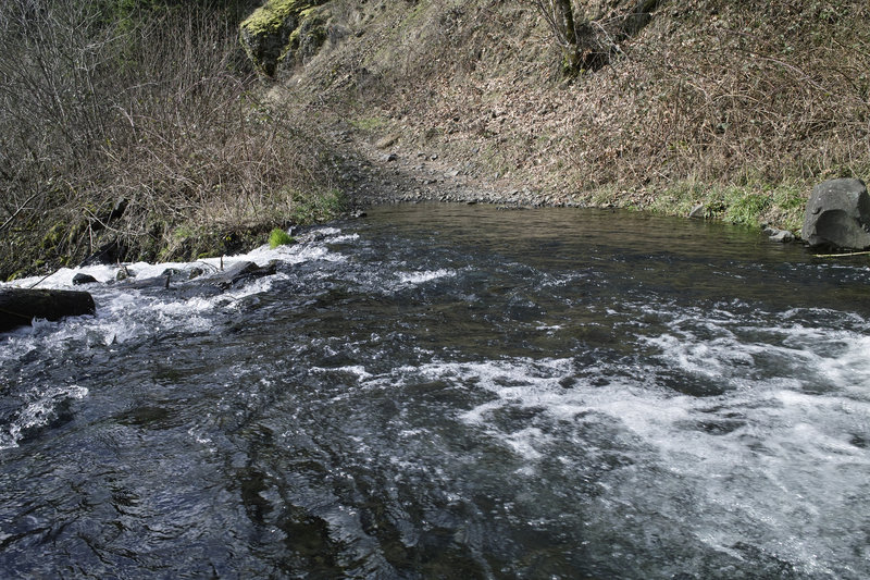 Dry feet all day, then this little gem 1/2 mile before returning to BHS.