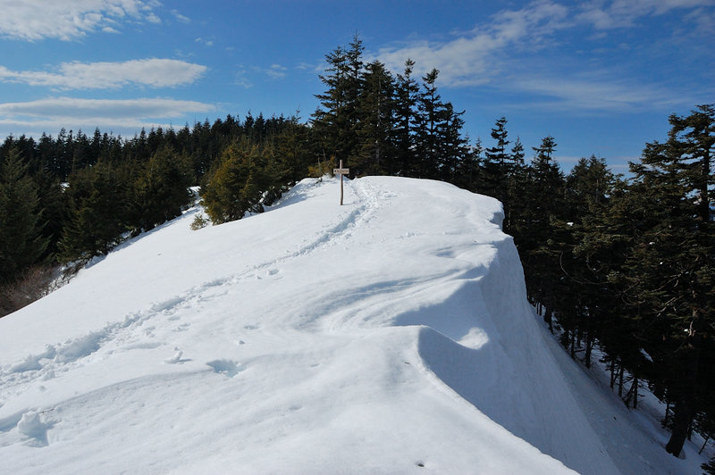 The reason all tracks stopped short of the east viewpoint (aka Gorge Overlook)