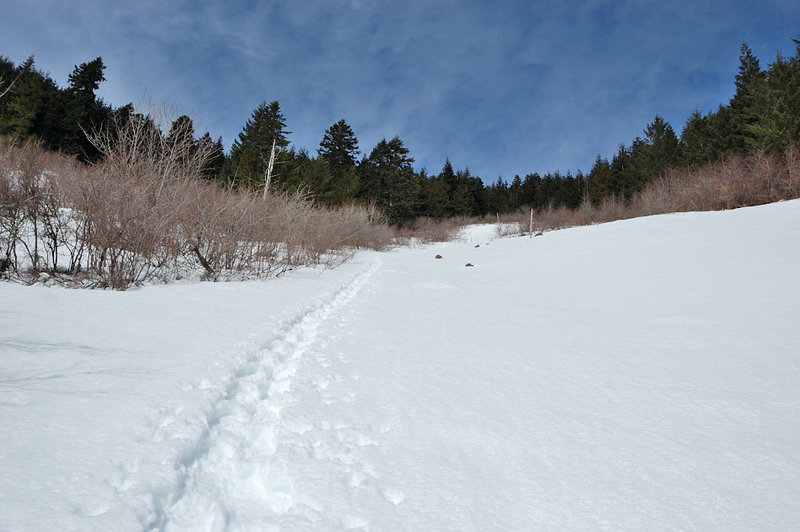 Scree field - this part is much better with snow (minus some postholing)