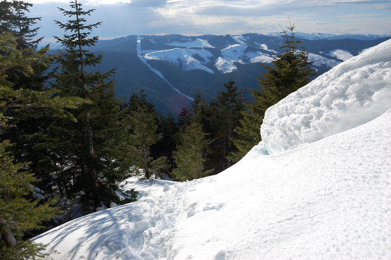 Snow drifts along Windbreaks on the way down