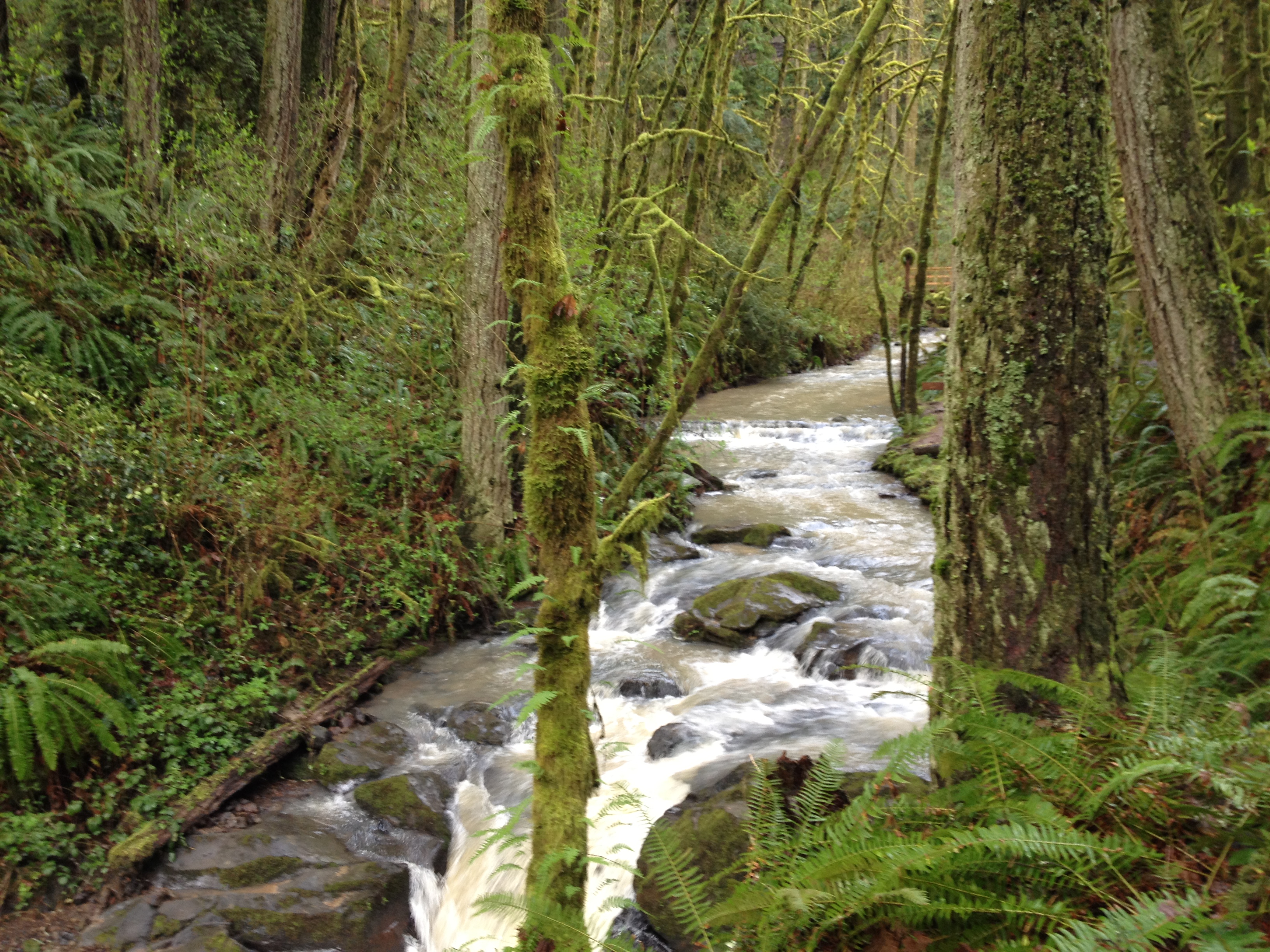 Balch Creek
