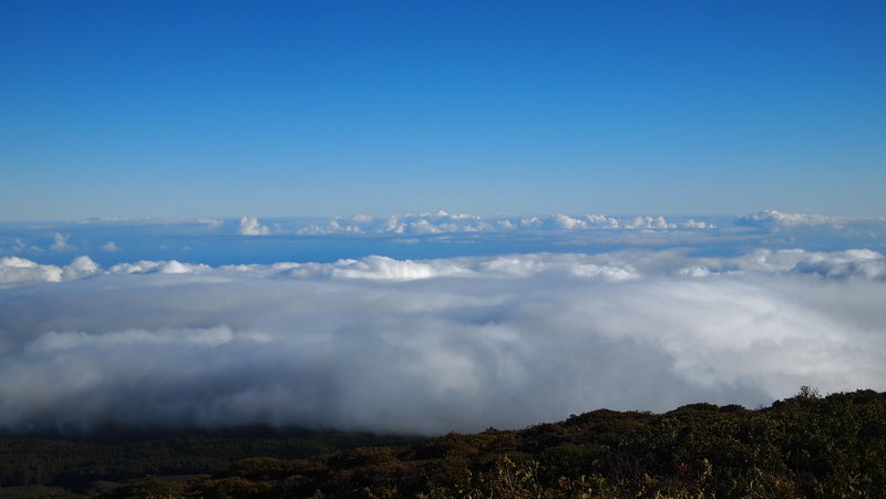 Above the clouds on the Halemauu Trail