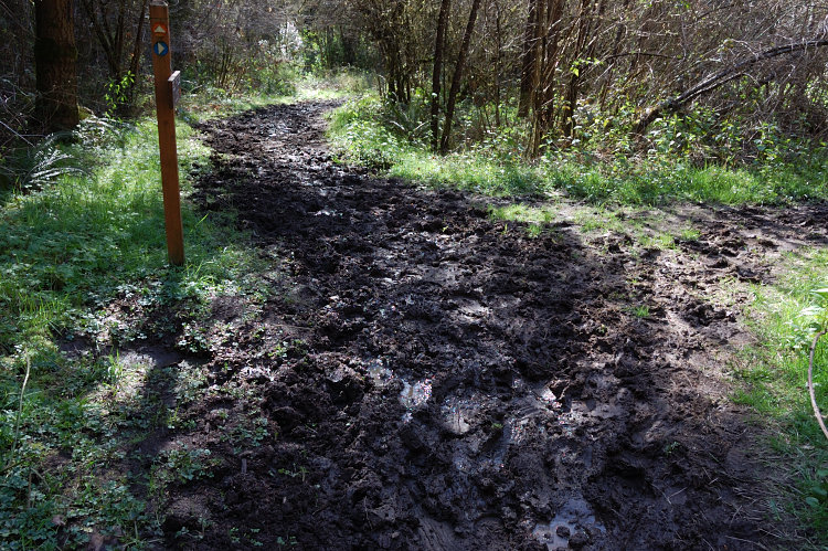 I hoped they'll put gravel by now and took hiking boots instead of rubber boots - that was a mistake. Good thing is that park has a network of unofficial trails (game/bike trails) that are much better than formal equestrian trails