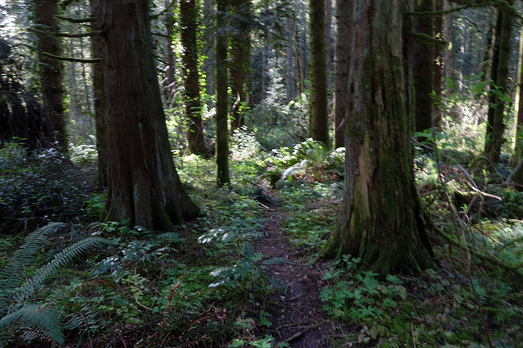 I chose one of those little trails