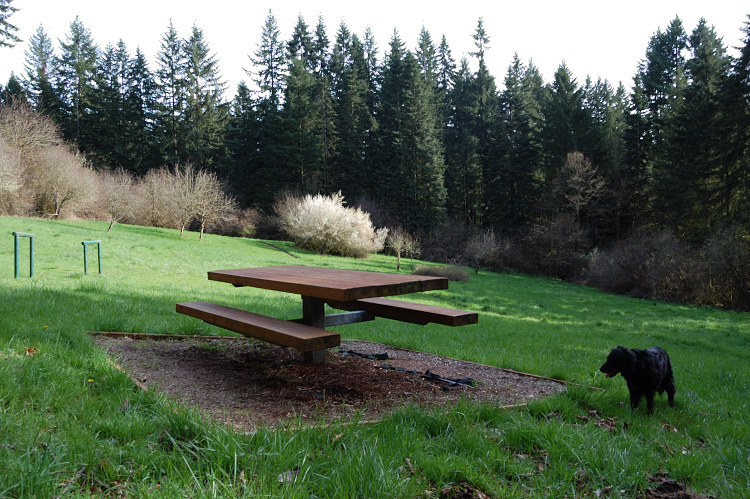 This has been my favorite place to study - far from TV, computer, and other distractions. With all that dirt in the park, I always got that spot for myself