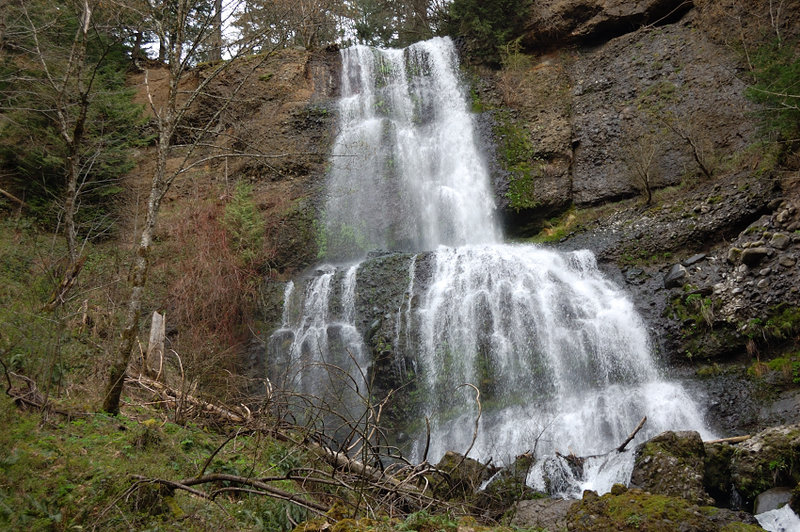 Cedar Falls