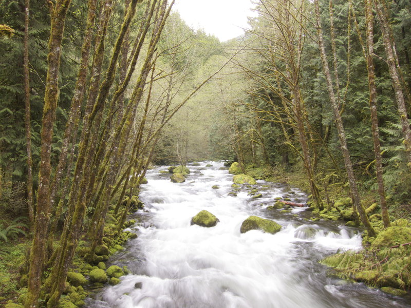 Herman Creek