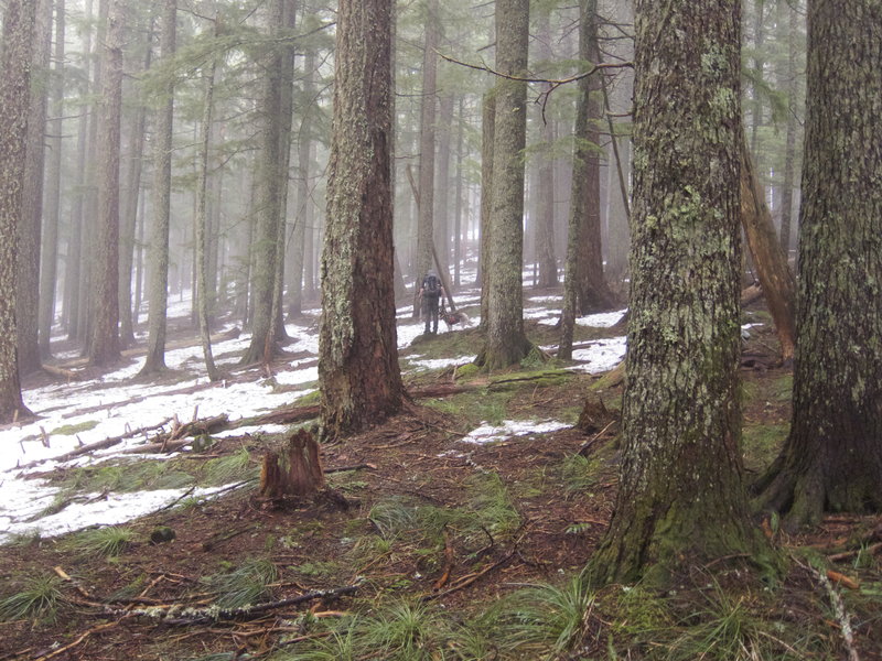 Lower stretches of the plateau