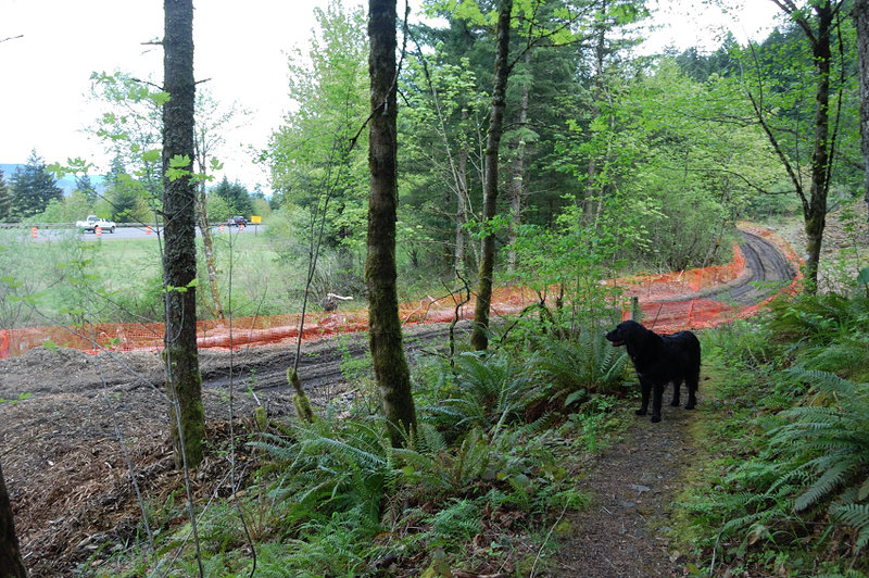 Where we lost the trail
