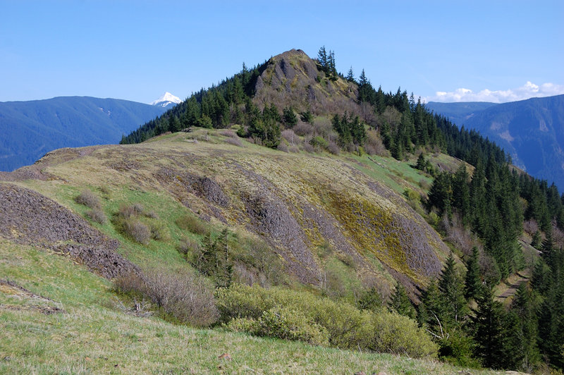 View from the saddle